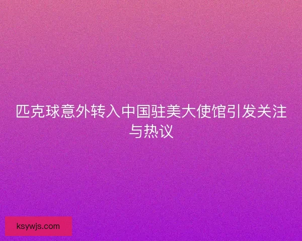 匹克球意外转入中国驻美大使馆引发关注与热议